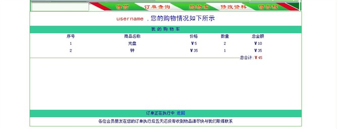 计算机源码设计实例-JSP001网络购物系统截图